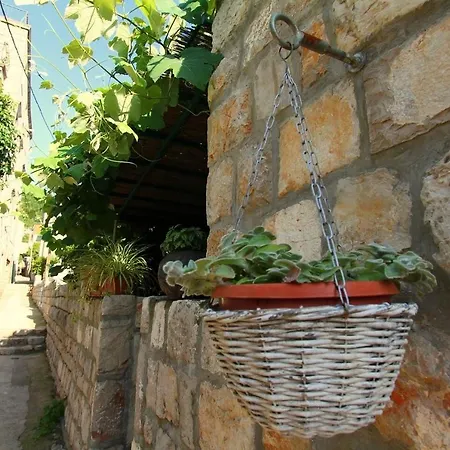 Lejlighed 17200a Lopud